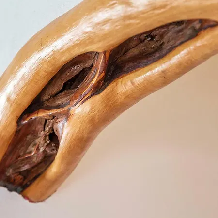 Apartment Maddalena Baunei